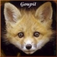 Goupil