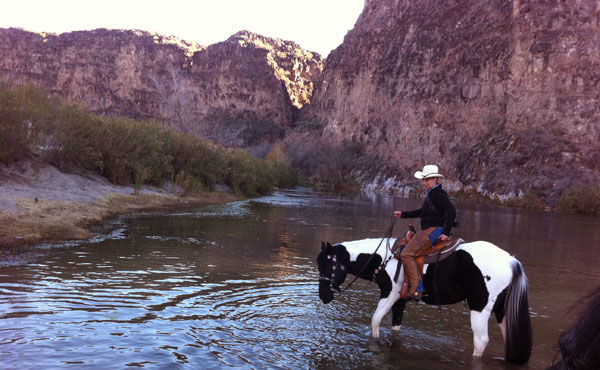 More camping in ARIZONA Pictures