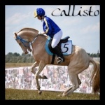 Callisto