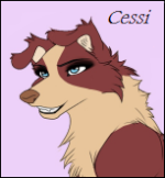 Cessi