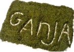 Ganja Rulez