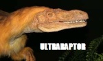 Ultraraptor
