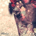 Milady