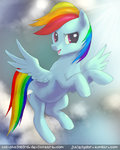 Rainbow-Dash