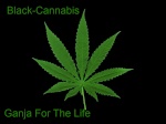 Black-Cannabis