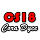 CS18