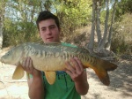 estra.carp