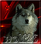 wolf26