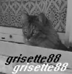 grisette88