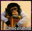 chocolatine