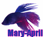 Mary-April