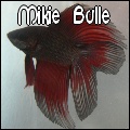 Mikie Bulle