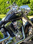 Le SOFTAIL 10677-52