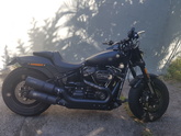 Le SOFTAIL  moteur M8 10765-94