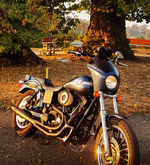 Le SOFTAIL 10888-94