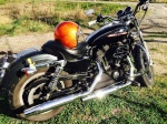 Le SPORTSTER 1118-88