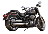 Le SOFTAIL 13531-93