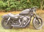 Le SPORTSTER 2654-96