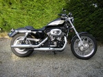 Le SPORTSTER 315-88