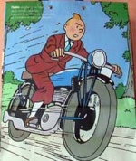 tintin81