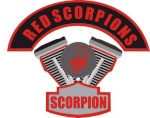 scorpion