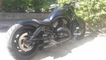 Le V-ROD 4476-99