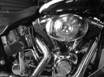 Le SOFTAIL 4665-62