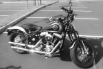 Le SOFTAIL 5055-98