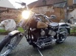 Le SOFTAIL 5485-38