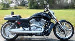 Le SPORTSTER 6003-12