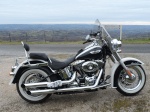 Le SOFTAIL 6709-9