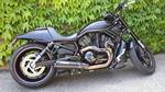 Le V-ROD 7703-53