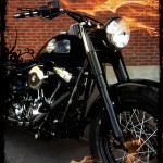 Le SOFTAIL 8572-13