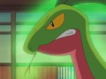 Grovyle-Sama