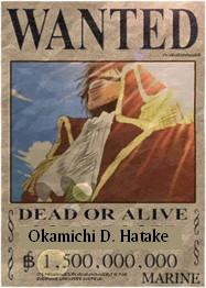 Okamichi D. Hatake