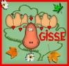 Gisse