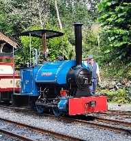 Narrow Gauge Enigma - The Story of Peter Rampton and his collection X