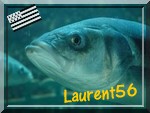 Laurent56