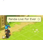 Panda-Live