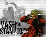 SuperVash