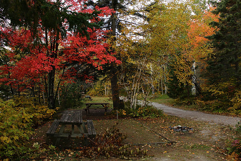 Didie - automne au Québec