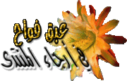 معلومات إسلامية  1601055131