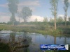 Willems 01-05-08 Etang10