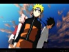 Naruto Shippu10