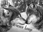 vieux loup wolfs