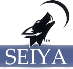 seiya