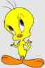 Tweety