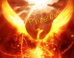 Phoenixarmada