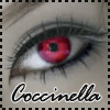 Coccinella95