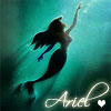 *Princess Ariel*